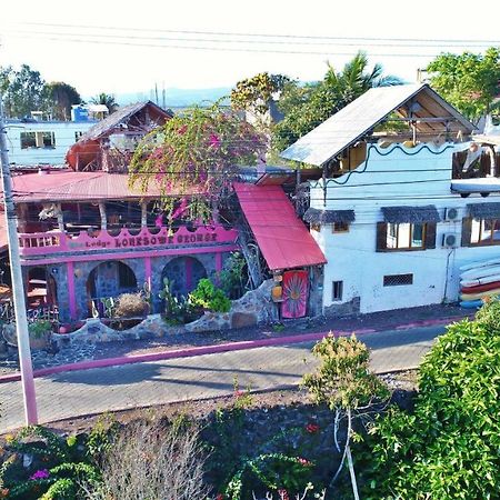 孤身乔治生态山林小屋旅馆 阿约拉港 外观 照片